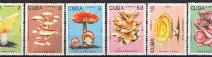 1989- Ciuperci comestibile.
