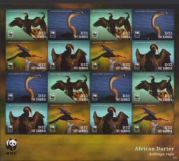 2014-WWF-Pasare dardar africana.