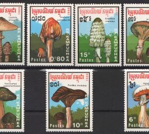 Cambogia -1989-Ciuperci.