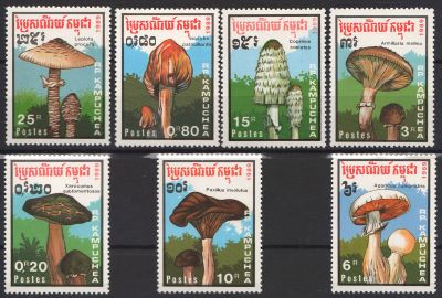 Cambogia -1989-Ciuperci.