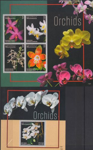 2015-Orhidee.