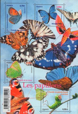 2010-Fluturi.