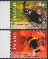Islanda-2004-Insecte si paianjeni (I).