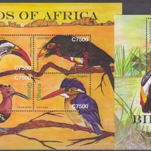2007-Pasari africane