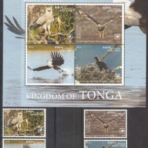 2019 - Pasari de prada - Tonga