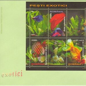 2005 - Pesti exotici