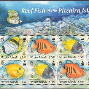 2010-Pitcairn-WWF - Pești din recifele de corali de langă Pitcairn.