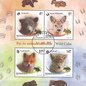 2012-*Pui de animale salbatice