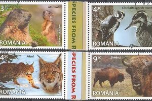 2013-Fauna - Specii din Romania
