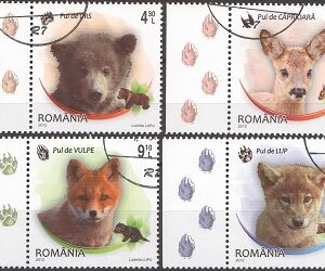2012-Pui de animale salbatice