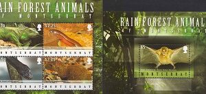 2009-Animale din padurea tropicala.