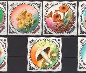 1985-Ciuperci.