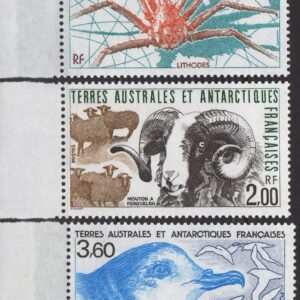 1989 -  Animale din Antarctica.