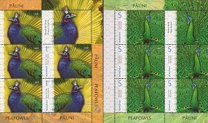 Pauni