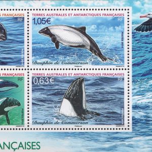 2014-Rezervația naturală Ținuturile sudice și antarctice franceze – Delfinul lui Commerson.