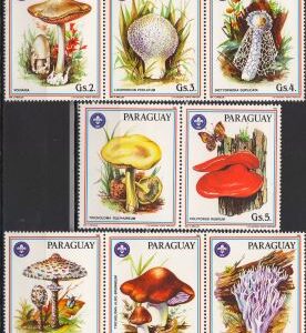 1986-Ciuperci.
