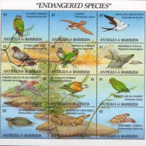 1993-Animale pe cale de dispariție.