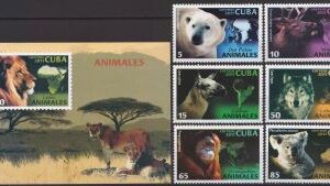 2011-Animale din toata lumea.
