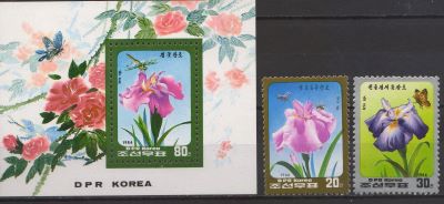 1986- Flori.