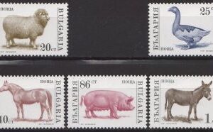 1991-Animale-uzuale.