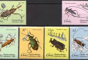 1980 -Insecte.