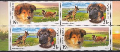 2016-Expozitia canina mondiala, Moscova: Caini de serviciu.