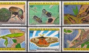 Haute Volta-1981-Insecte.