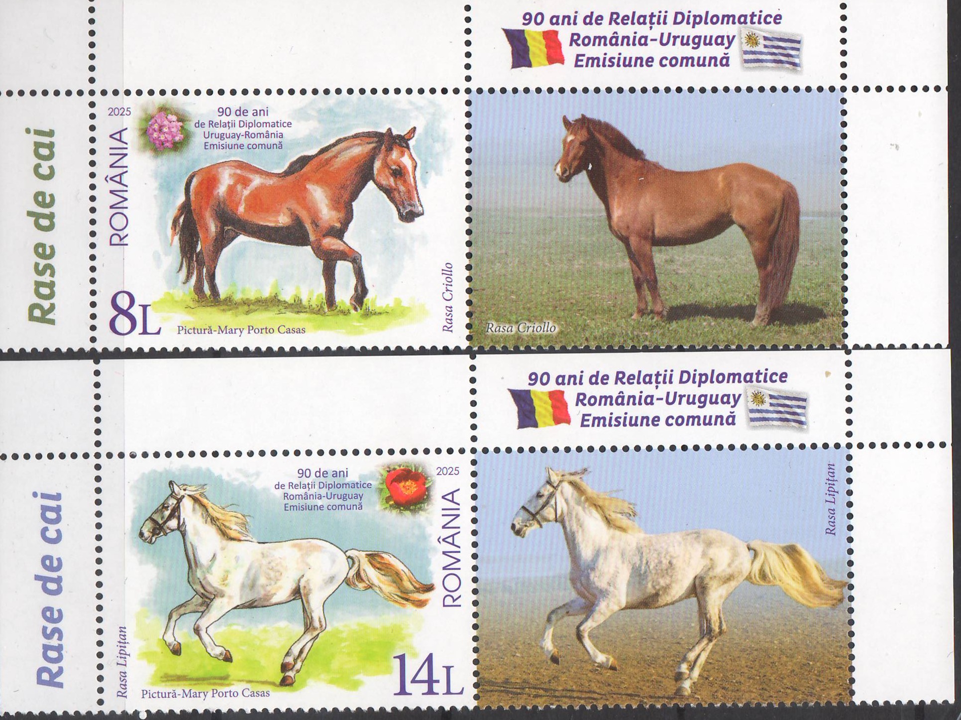 Rase de cai - emisiune comuna Romania-Uruguay.
