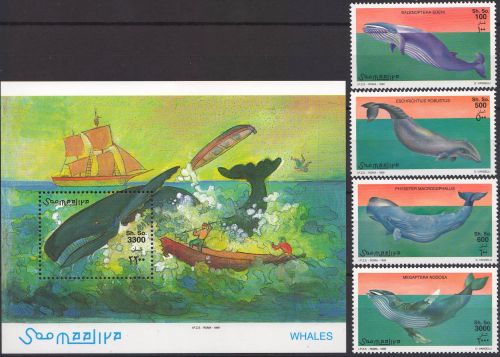Somalia-1999-Balene.